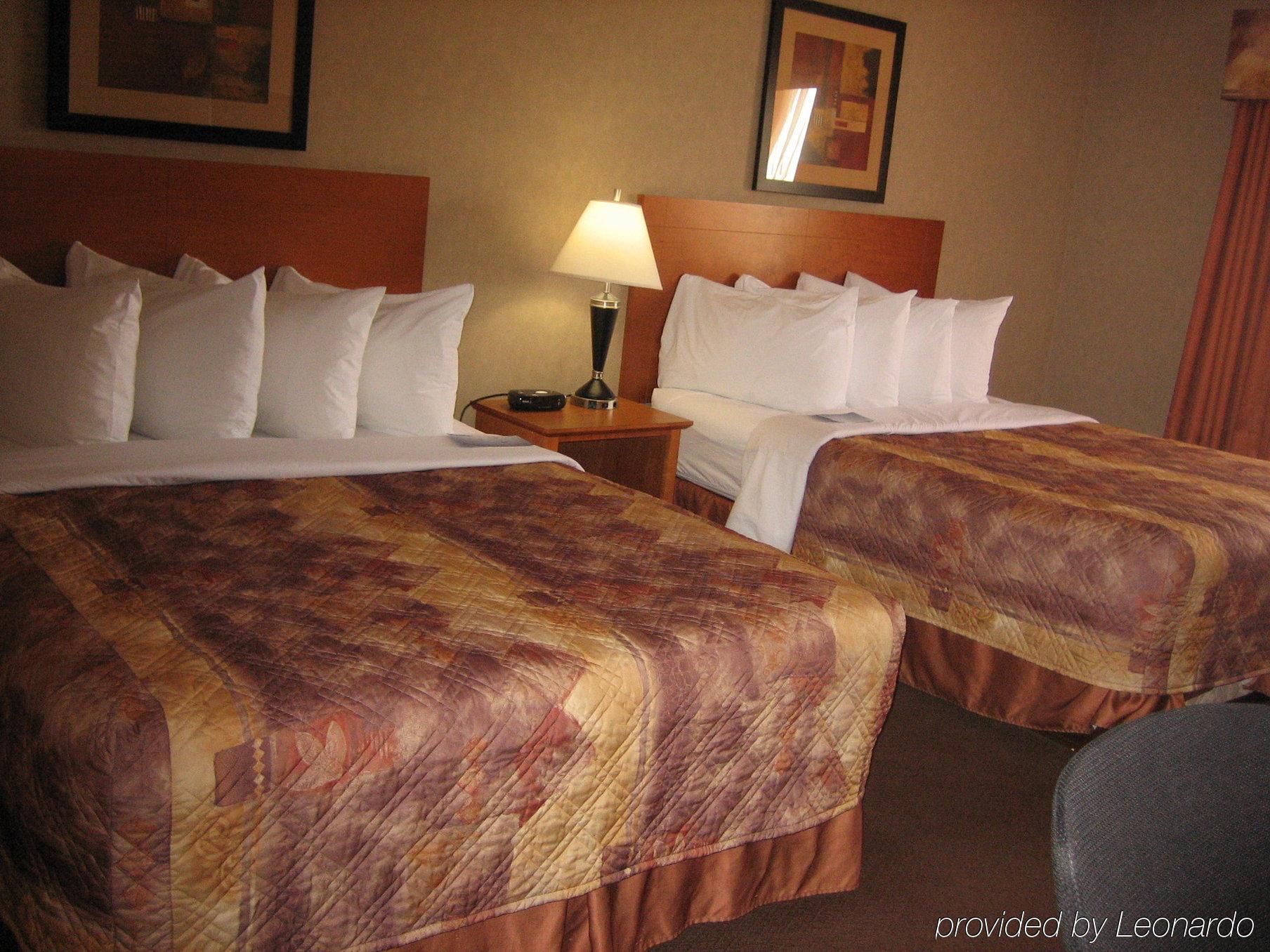 Canalta Stettler Motel Room photo